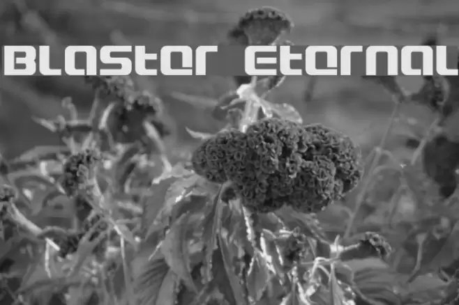 Blaster Eternal Fonte examples