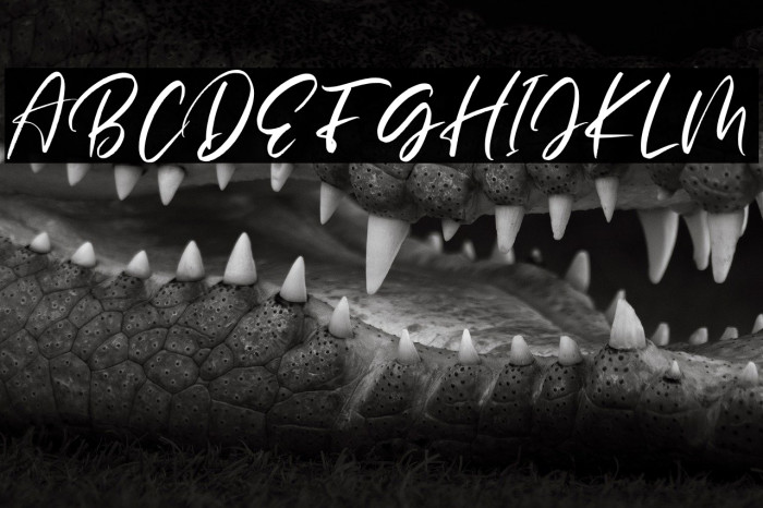 BlasterTimersPersonalUse Example 1