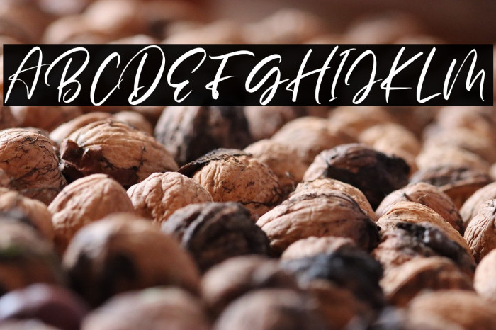 BlasterTimersPersonalUse Example 2