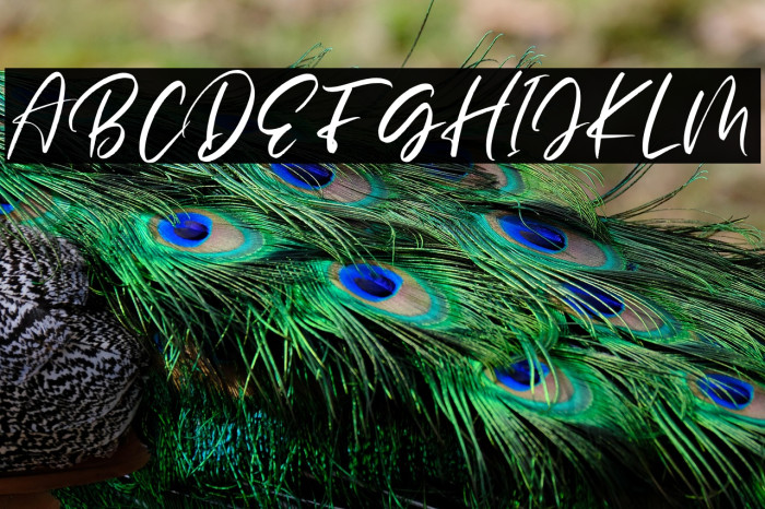 BlasterTimersPersonalUse Example 3