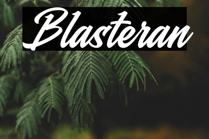 Blasteran Example 1