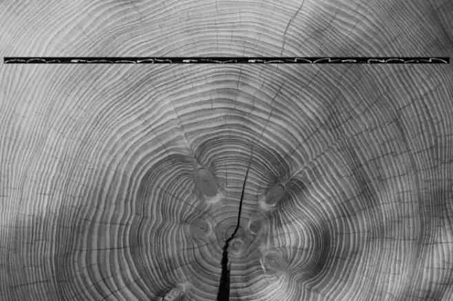 BlastimoSwash-Regular Font examples