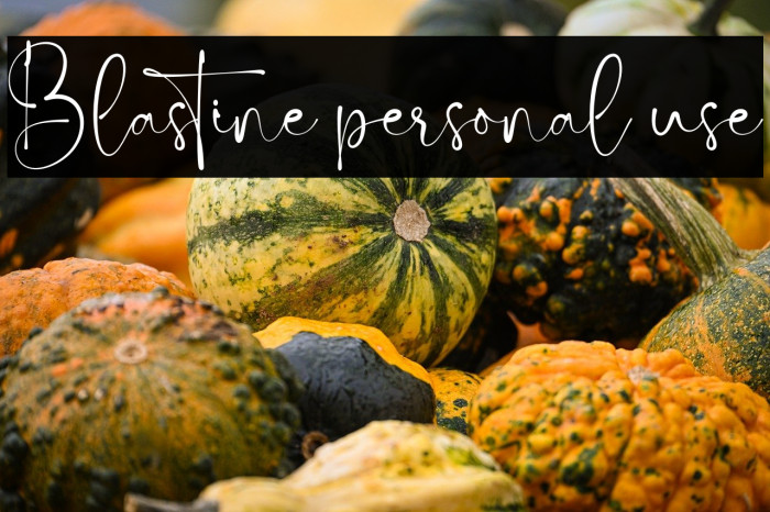 Blastine personal use Example 1