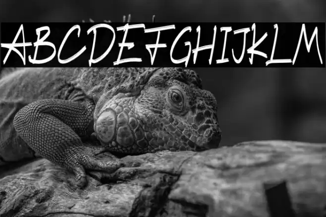 BlastingBrush Font examples