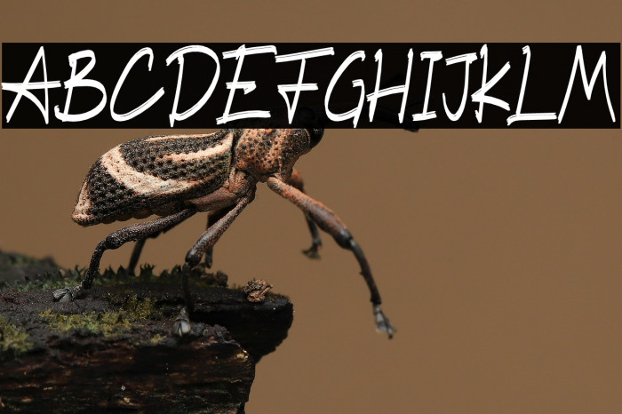 BlastingBrush Example 2