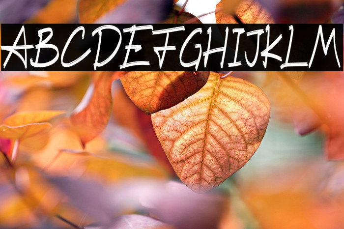 BlastingBrush Example 3