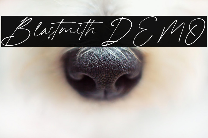 Blastmith DEMO Example 2