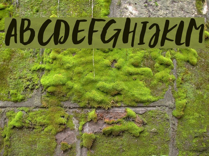 BlastpinkScript Font examples