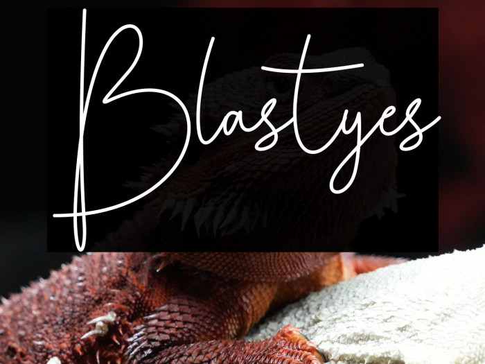 Blastyes Example 3