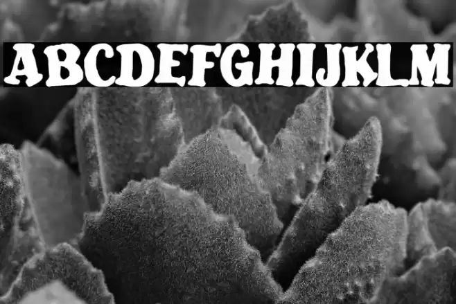 Blatant Font examples