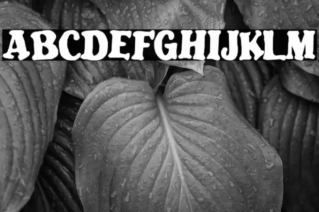 Blatant Font examples