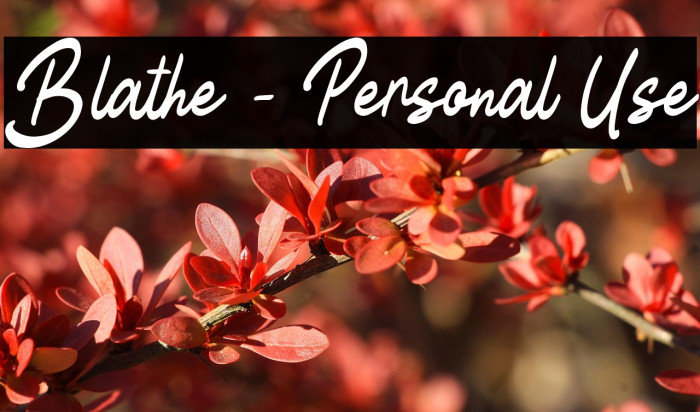 Blathe - Personal Use Example 1