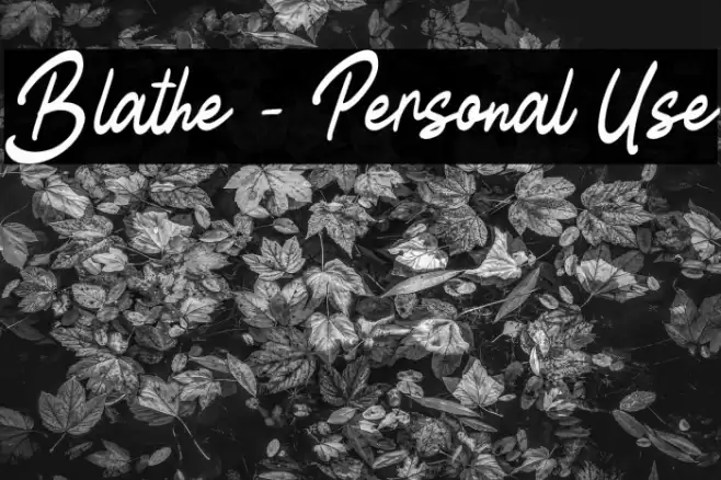 Blathe - Personal Use Font examples