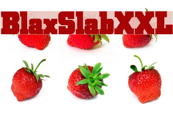 BlaxSlabXXL Font examples