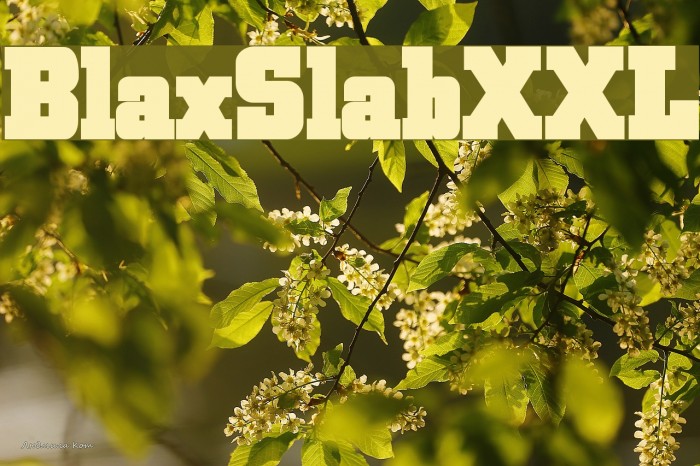 BlaxSlabXXL Font examples