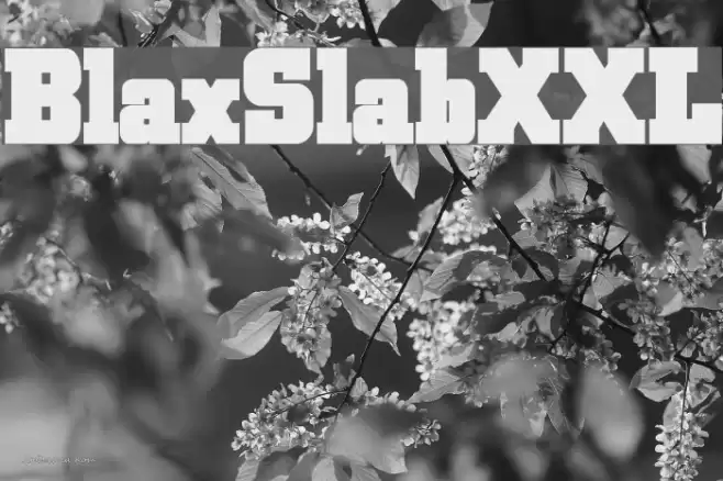 BlaxSlabXXL Fonte examples