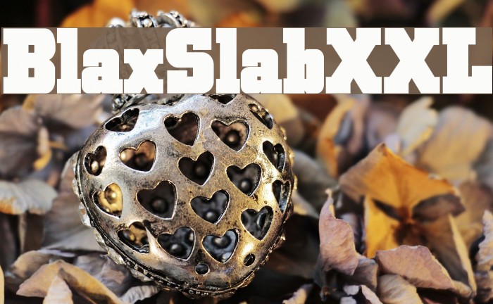 BlaxSlabXXL Font examples