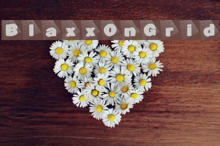 BlaxxOnGrid Font examples