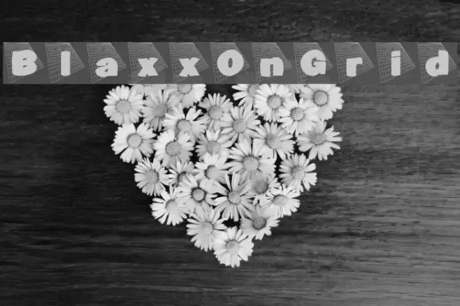 BlaxxOnGrid Font examples