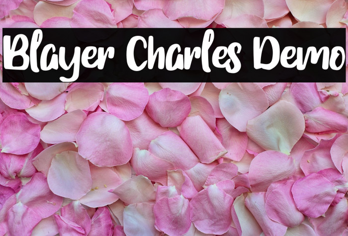 Blayer Charles Demo Example 3