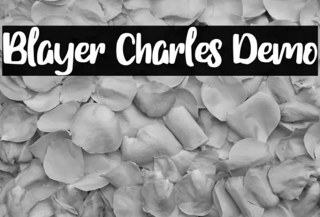 Blayer Charles Demo フォント examples