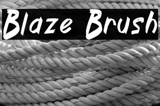 Blaze Brush Fonte examples