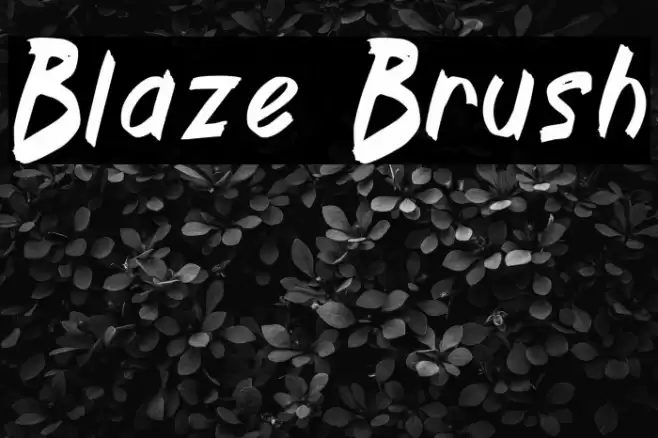 Blaze Brush Fonte examples