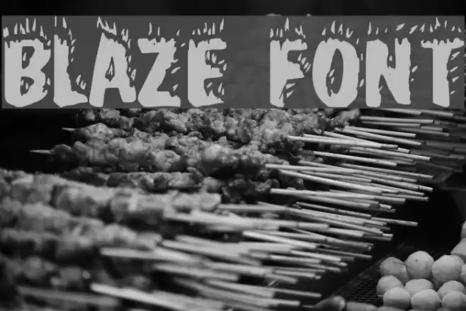 Blaze Polices examples