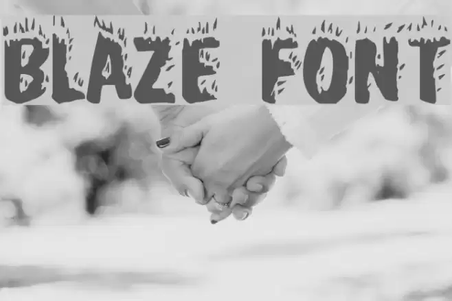 Blaze Polices examples