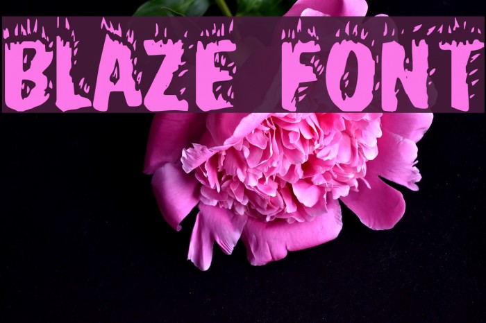 Blaze Font examples