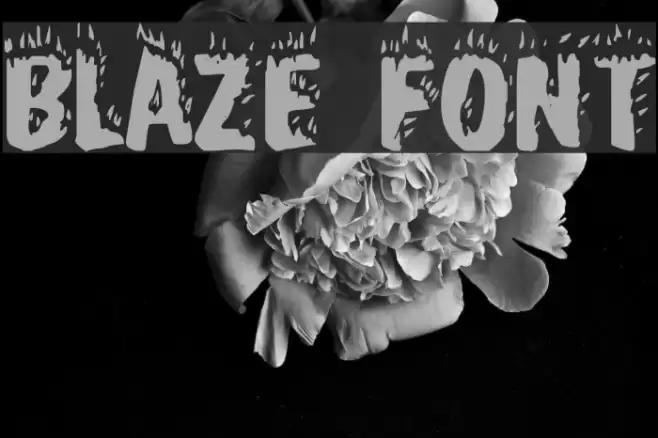 Blaze Polices examples