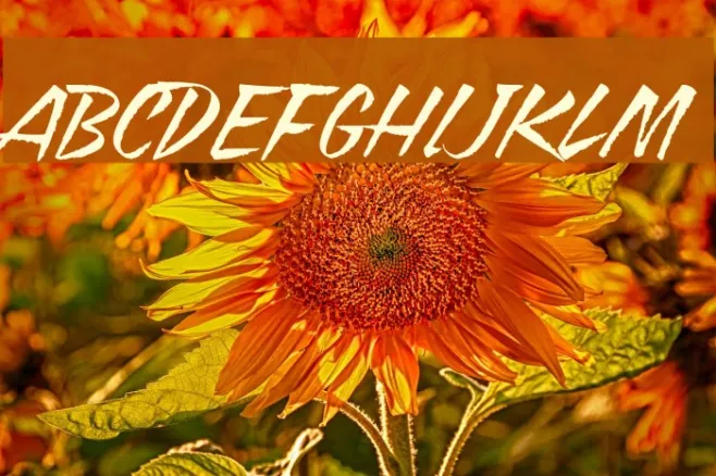 Blazing Italic Example 3