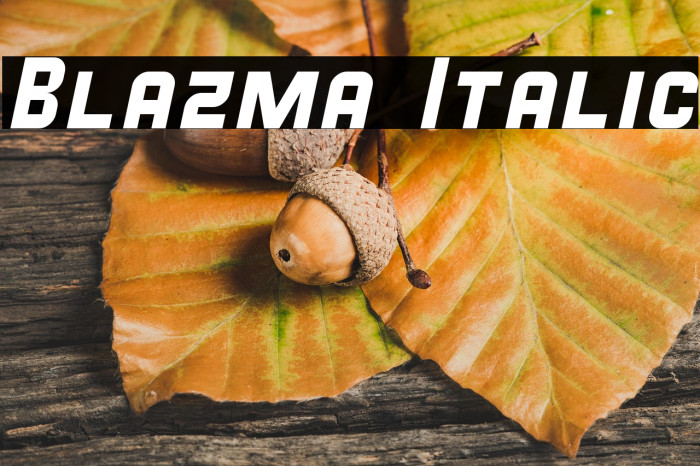 Blazma Italic Example 3