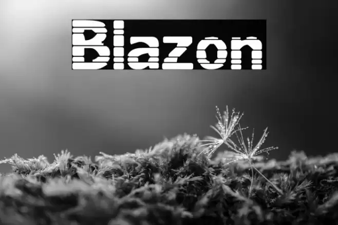 Blazon Font examples