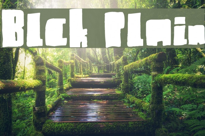 Blck Plain Font examples