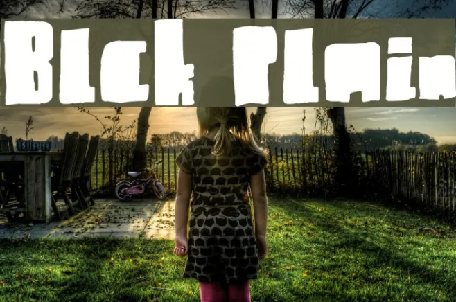 Blck Plain Example 3