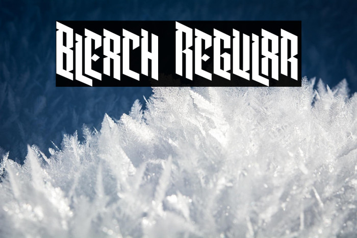 Bleach Regular Example 2