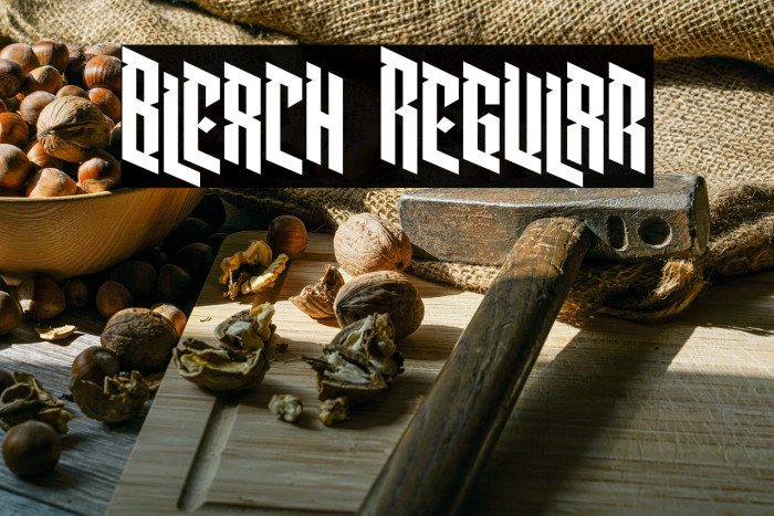 Bleach Regular Example 3