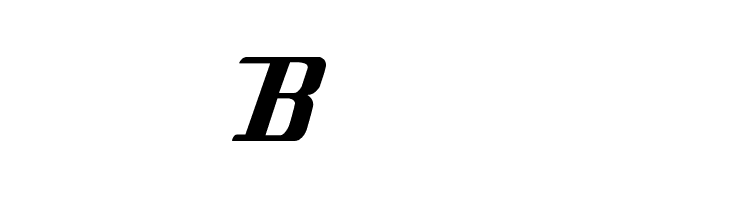Bleach  Free Fonts Download