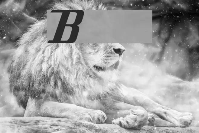 Bleach Font examples