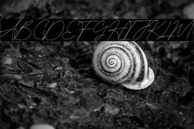 BleachedMagenta-Regular Fuentes examples