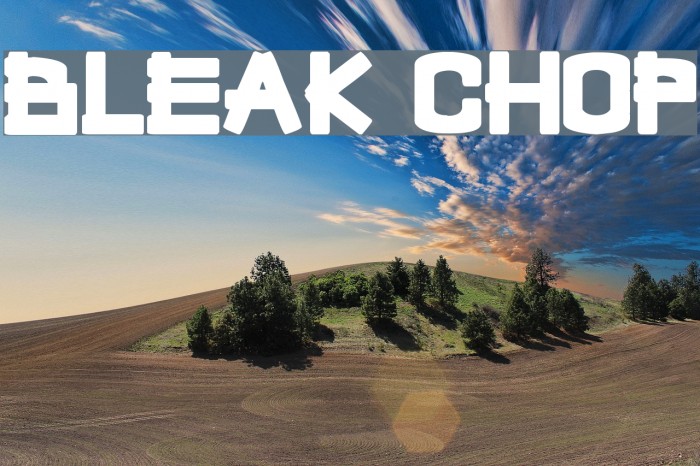 Bleak Chop Font examples