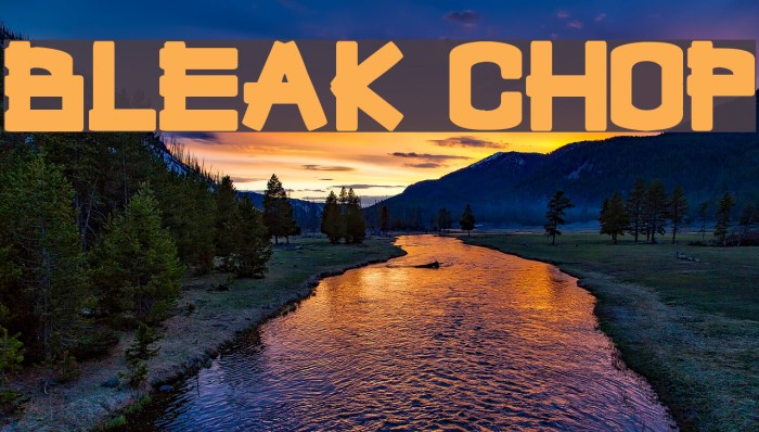 Bleak Chop Font examples