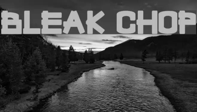Bleak Chop Polices examples