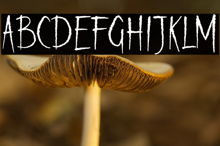 Bleakfall Demo Example 1