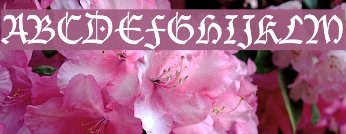 Blecklet Font examples