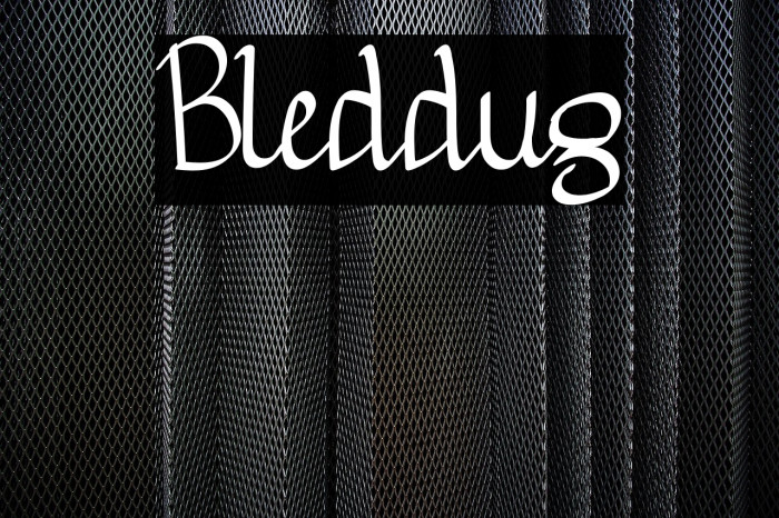 Bleddug Example 1