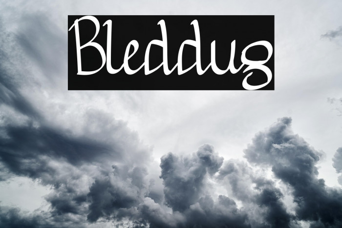 Bleddug Example 2