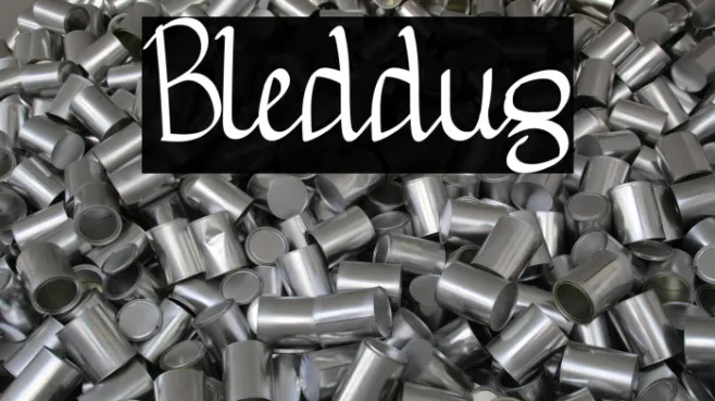 Bleddug Example 3