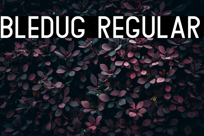 Bledug Regular Example 1